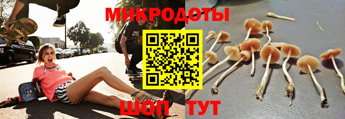 Псилоцибиновые грибы Cubensis  Вход с VPN  Псилоцибиновые грибы Cubensis  Фролово 